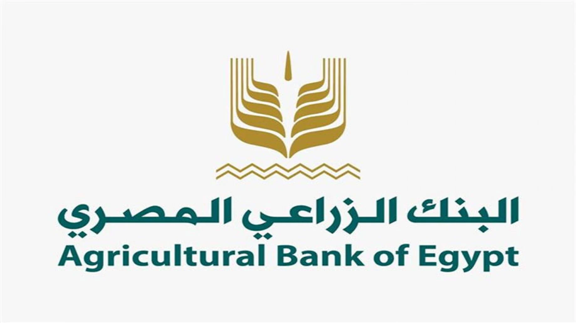 خدمات البنك الزراعي المصري الاجتماعية